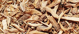 Ratanhiawurzel (Krameria triandra) Die in REPHA-OS Mundspray verwendeteHeilpflanze Ratanhia verfügt über ausgedehnte adstringierende Eigenschaften.